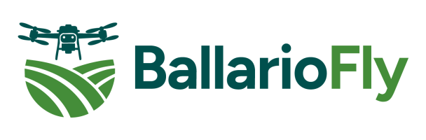 Academia BallarioFly