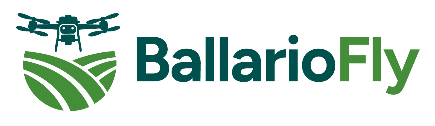 BallarioFly